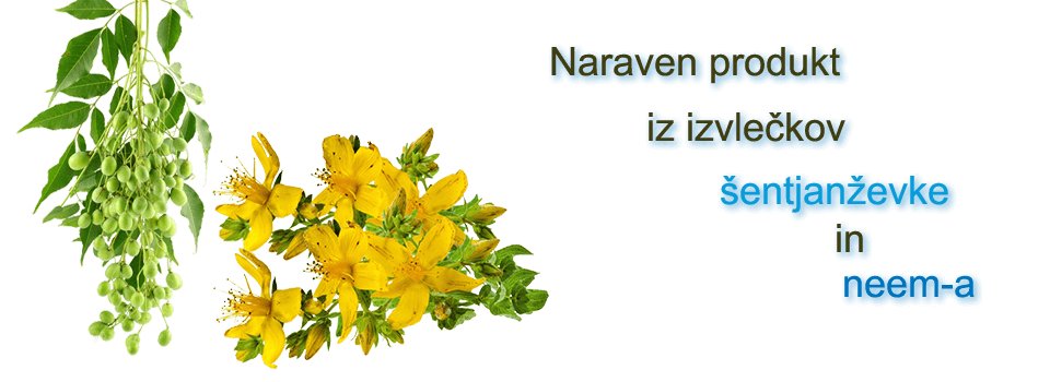 Naraven produkt iz izvelčkov šentjanževke in neem-a.